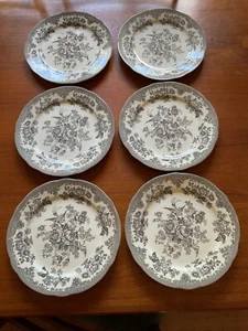 Royal Stafford Asiatic Pheasant 11 inch Gray Dinner Plates (set of 6) - Picture 1 of 7