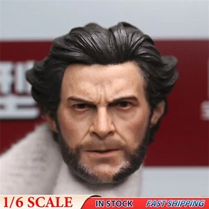 Modellino corpo maschile Wolverine Logan 1/6 testa di uomo scolpita adatto 12" Hot Toys - Foto 1 di 17