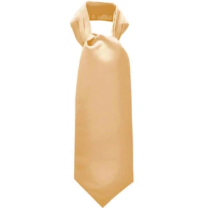 New Men's 100% Polyester solid full Ascot Cravat Only Wedding Prom formal Beige - Picture 1 of 2