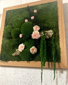 muschio stabilizzato, Quadro Vegetale, Ball Moss, Fiori Stabilizzati , Muschio - Foto 1 di 3