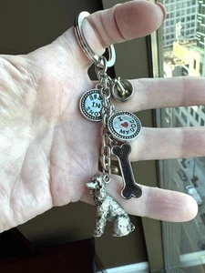 Barboncino Argento Metallo Portachiavi Cane Ciotola, Osso Borsa Decorazione Zaino Charm CN - Foto 1 di 16