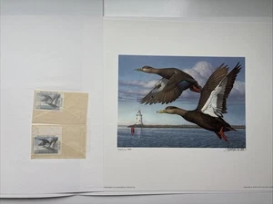 1993 Connecticut State Duck Stamps & Print by Tom Hirata - Picture 1 of 14