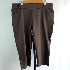 TS Woman Pants 18P Petite Plus Brown Straight Leg Stretch Casual - Picture 1 of 10