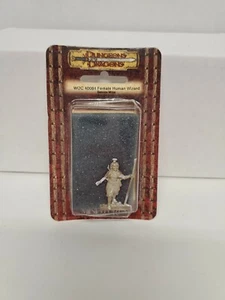 WOTC D&D Miniatures blister 40084: Female Human Wizard: New read - Picture 1 of 3