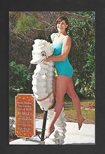 CARTOLINA: SIRENA IN POSA CON "BOLLE" IL CAVALLUCCIO MARINO A WEEKI WACHEE, FLORIDA - Foto 1 di 2