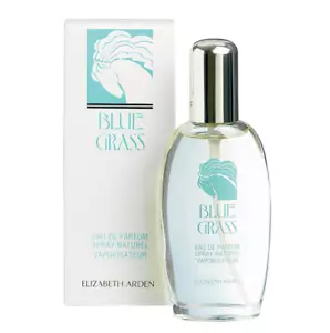 BLUE GRASS 100ML EDP SPRAY FOR WOMEN BY ELIZABETH ARDEN - Picture 1 of 1