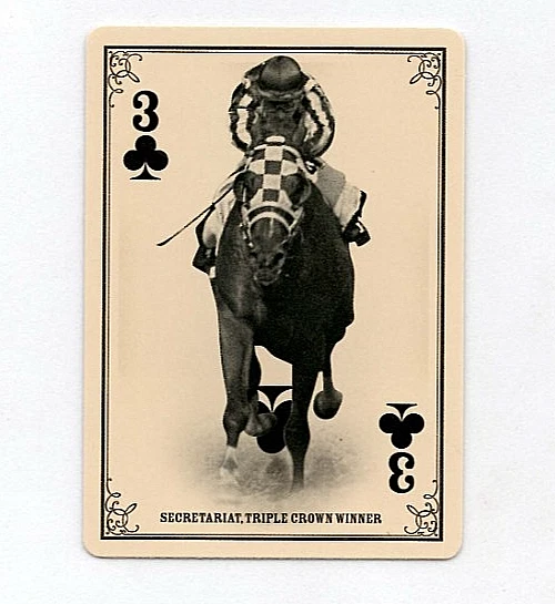 秘书处 - 高级扑克牌 - 2013 帕尼尼黄金时代插入 — 第 1/1 张图片