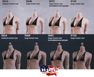 TBLeague PHICEN 1/6 SCALE Steel Skeleton FEMALE Seamless Figure Body ❶USA❶ - Picture 1 of 9