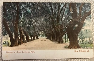 Antike Postkarte Vintage 1900er Avenue of Oaks, Audubon Park New Orleans, LA - Bild 1 von 2