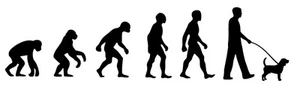 Beagle Dog Walker 'Evolution' car sticker, vinyl decal - Picture 1 of 3