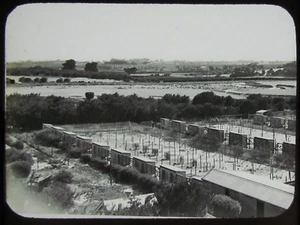 Glass Magic Lantern Slide POULTRY FARM VICTORIA C1910 PHOTO AUSTRALIA - Picture 1 of 2