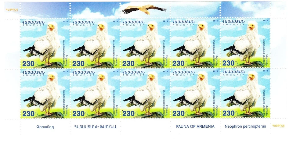 Armenia Flora & Fauna Birds Egyptian Vulture Full Sheet 10 Stamp MNH - Image 1 of 1