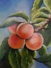 Oil hand painting on canvas wall art home decor picture of fruits, peaches