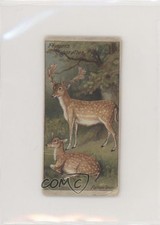 1909 Player's Nature Series Tobacco Fallow Deer #29 3c7