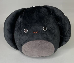 NEW Squishmallow Scented 8” Sealife Fen Fang The Stingray Plush Stuffed Animal - Picture 1 of 4