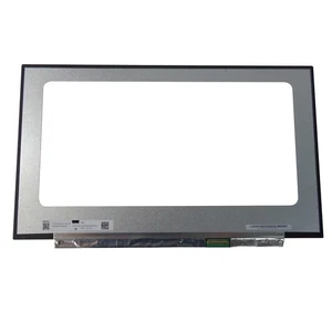 LP173WFG-SPB1 Laptop Led Lcd Screen 17.3" FHD 1920x1080 144Hz 40 Pin - Picture 1 of 1