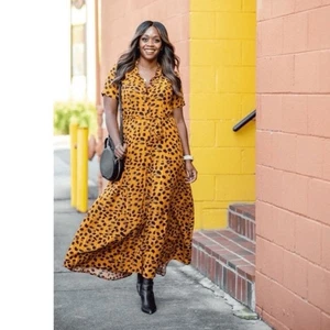 Anthropologie Porridge Vianne Maxi Shirt Kleid Leopardenmuster Größe 2 Ringelblume - Bild 1 von 6