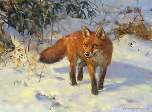 Fox in the Snow, paquete de 10 tarjetas de Navidad de Frederick Haycock C503X - Imagen 1 de 1