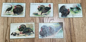 Vintage Postcards Lot Of (5) Thanksgiving Day Turkeys Raphael Tuck & Sons No 123 - Picture 1 of 12