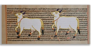 Atractiva pintura en miniatura de animal de vaca sobre manuscrito sánscrito 5,5 x 12 pulgadas - Imagen 1 de 4