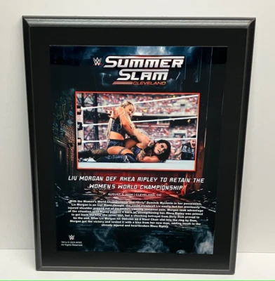 Placa Sublimada Liv Morgan Summer Slam WWE Auténtica 10.5x13 (NUEVA) Foto 1 de 3