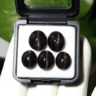 Asterismo Estelar ~ 5 piezas Diópsido Natural Ojo de Gato 10mm-12mm Raras Cabujón Gemas Foto 1 de 4