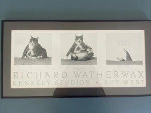 Richard Weatherwax "Fat Cat Capsizing" Kunstdruck Poster 1988 25x12" - Bild 1 von 8