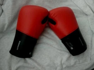 Boxhandschuhe - Bild 1 von 1