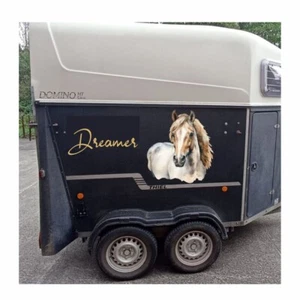 Adesivo stampa digitale cavallo sognatore 60 x 60 cm rimorchio cavallo, sticker camper - Foto 1 di 3