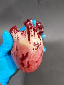 Realistic Bloody Heart, Halloween Prop - Picture 1 of 5