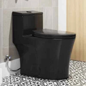 one Piece Toilet 10 '' Rough-In Elongated ADA height seat Dual Flush Black - Picture 1 of 12