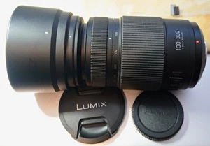 Panasonic Lumix G Vario 100-300mm f/4-5.6 II POWER O.I.S. Objektiv - Bild 1 von 4