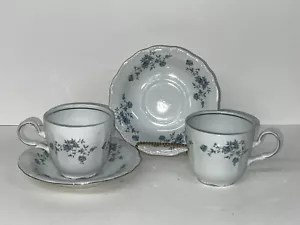 Vintage Johann Haviland TRADITIONS Blue Garland Fine China Footed Cups Saucers - Picture 1 of 7