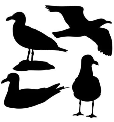 (€1,24 / Stk.) 4x Aufkleber Möwen  Boot Schiff Auto Wohnmobil Wohnwagen - Bild 1 von 2