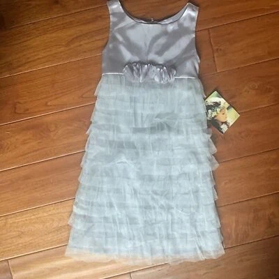 Biscotti Boutique silver tulle satin dress 6X BRAND NEW Party Wedding Fancy $115 - Image 1 of 4