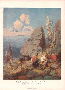 Auf Bergeshöhn - Erwin Oehme - 1928 - Historischer Kunstdruck ~21x29cm - Bild 1 von 1