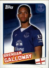 2015-16 Merlin's English Premier League Stickers #130 Brendan Galloway