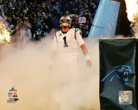 CAM NEWTON 2015 NFC Champ Game, Carolina Panthers LICENSED poster pic 8x10 photo Cover