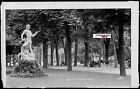 Plaque verre photo vintage, négatif noir & blanc 9x14 cm, Nancy, parc jardin