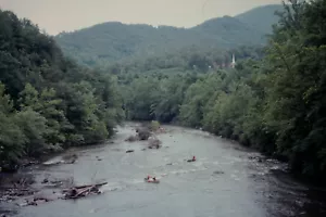 altes DIA Wildwasser Kanufahren Nantahala 07/1989 Schafherde USA den-S4-8 - Bild 1 von 1
