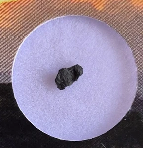 AGUAS ZARCAS CM2 Meteorite Witnessed Hammerstone Fall Year 2019 Fragment - Picture 1 of 6