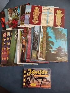 VINTAGE FLORIDA UNUSED POSTCARD LOT X73 ORANGE BOWL NAPLES DISNEY ORANGES GARDEN - Picture 1 of 16