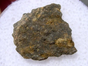 .540 grams NWA 14596 Carbonaceous chondrite (CK3) Meteorite fragment with a COA - Picture 1 of 1