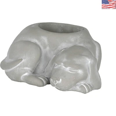 Adorable maceta de cemento para perros dormidos - Resistente a los rayos UV para uso en interiores/exteriores Foto 1 de 4