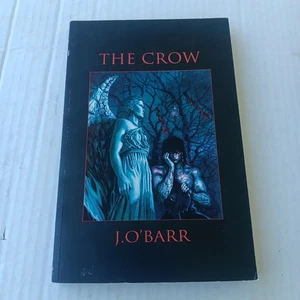 Novela gráfica The Crow 1994 prensa fregadero de cocina James O’Barr gran copia de lectura - Imagen 1 de 12