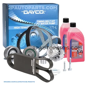 KIT DISTRIBUZIONE FIAT BRAVO 1.6 MULTIJET E CINGHIA SERVIZI DELTA MITO GIULIETTA - Imagen 1 de 9