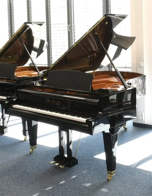 Bösendorfer a Coda Usato, 212 CM Lunghezza, Tutto Nuovo - Immagine 1 di 4