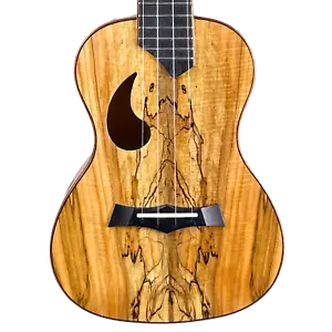 Snail Ukes Spalted Maple Gloss Concert Ukulele (Used) - Picture 1 of 10