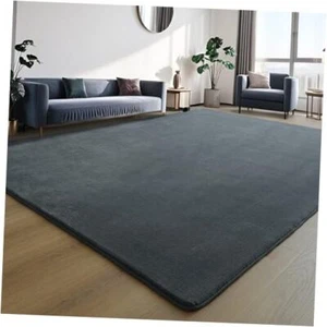 Ultra Soft Carpet for Bedroom Shaggy Rugs for Living Room, Fluffy 4x6ft Grey - Picture 1 of 7