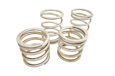 18 Polaris RZR XP Turbo EPS Dynamix Front & Rear Tender Shock Springs - Image 1 of 3